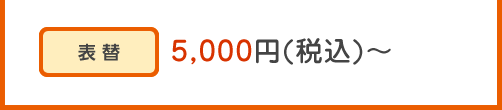 表替 5,000円(税込)～